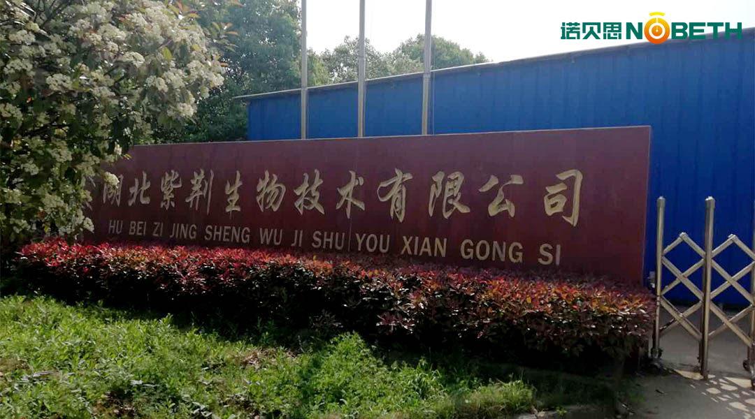 生物化工蒸汽發生器
