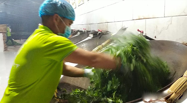 電氣化製茶成主流，蒸汽發生器讓製茶無煙化，實現零排放的環保目標